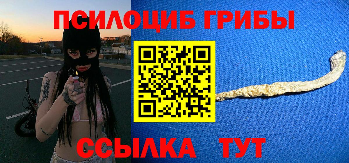 Галлюциногенные грибы Psilocybine cubensis Малгобек