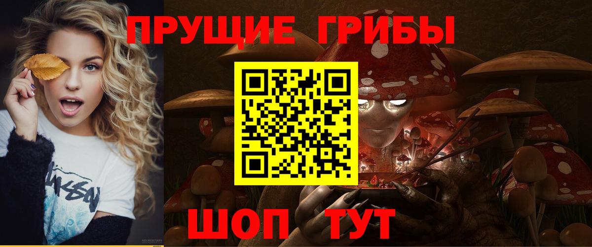 Галлюциногенные грибы Magic Shrooms  Псилоцибиновые грибы мицелий  Малгобек  Вход с VPN 